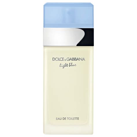 douglas dolce gabbana light blue